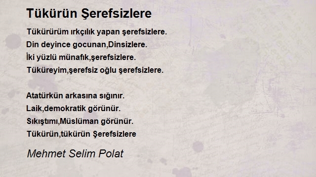 Mehmet Selim Polat