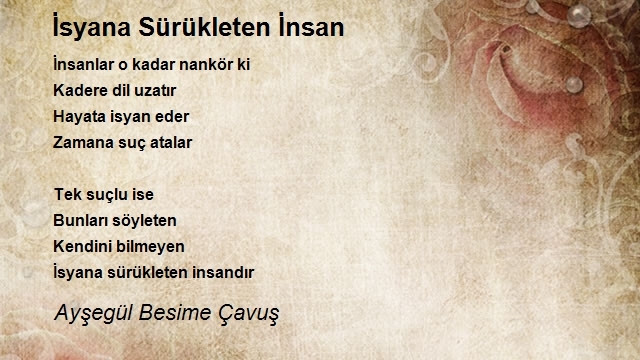 Ayşegül Besime Çavuş