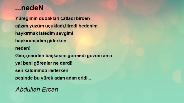 Abdullah Ercan