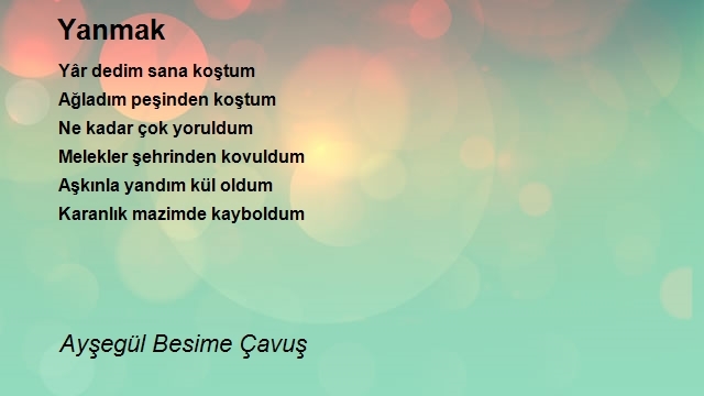 Ayşegül Besime Çavuş