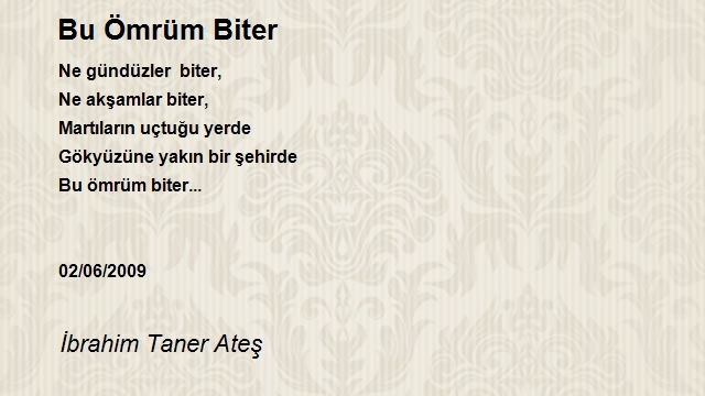 İbrahim Taner Ateş