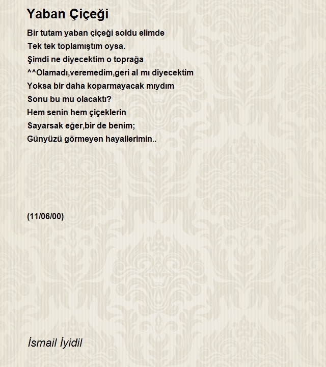 İsmail İyidil