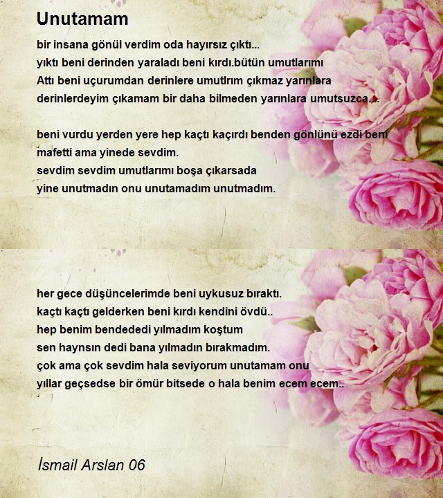 İsmail Arslan 06