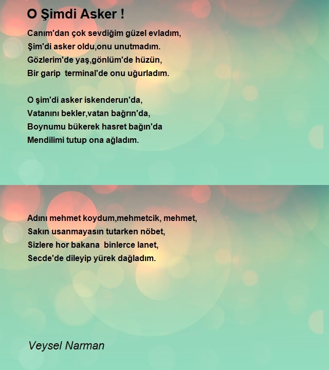 Veysel Narman