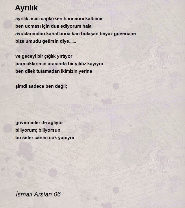 İsmail Arslan 06