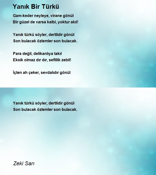 Zeki Sarı