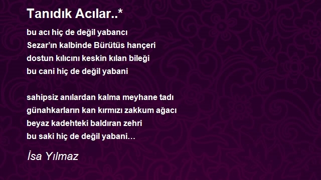 İsa Yılmaz