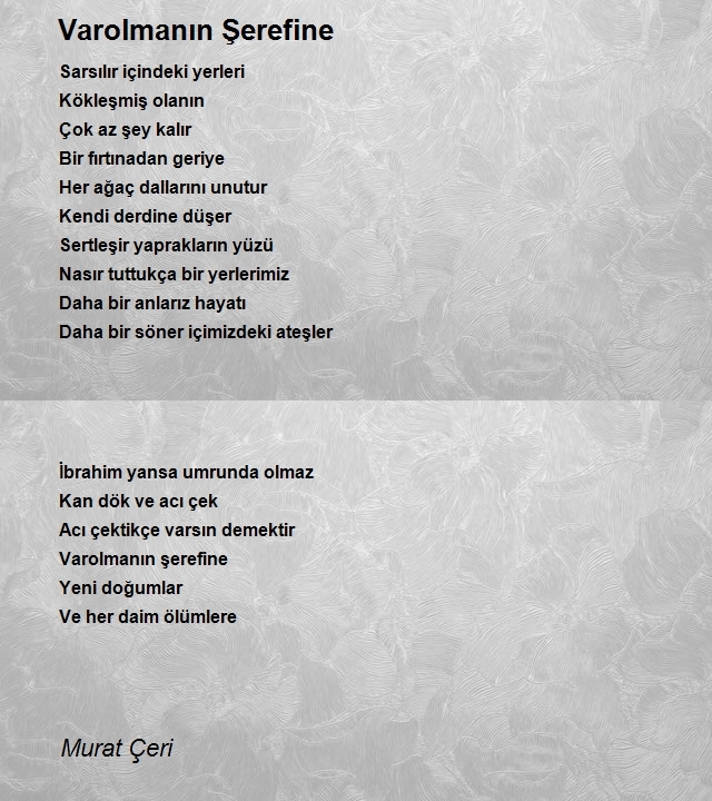 Murat Çeri