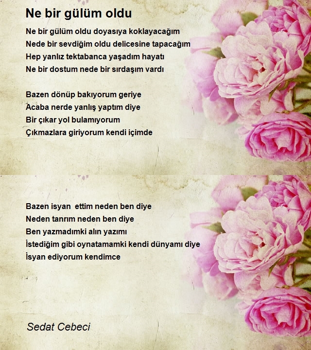 Sedat Cebeci