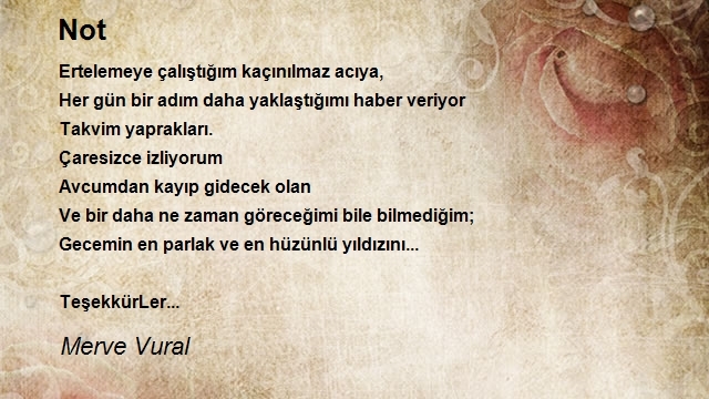 Merve Vural