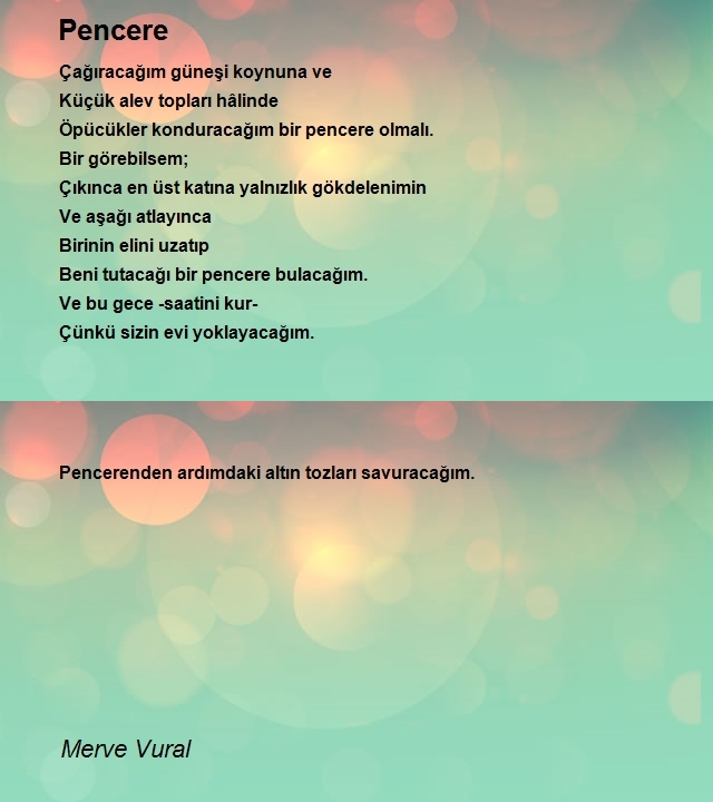 Merve Vural