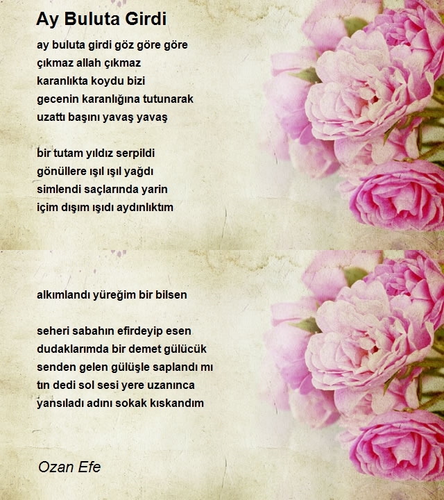 Ozan Efe