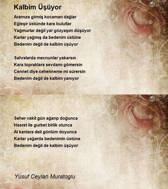 Yusuf Ceylan Muratoglu