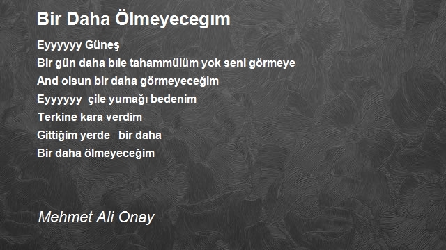 Mehmet Ali Onay