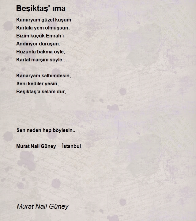 Murat Nail Güney