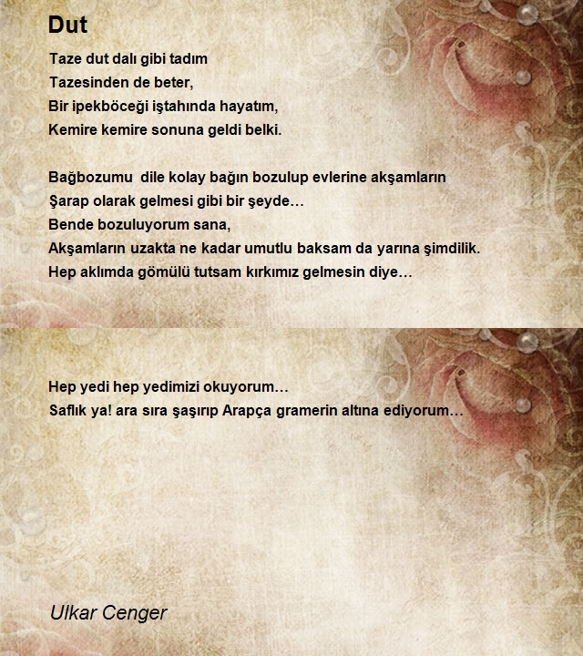 Ulkar Cenger