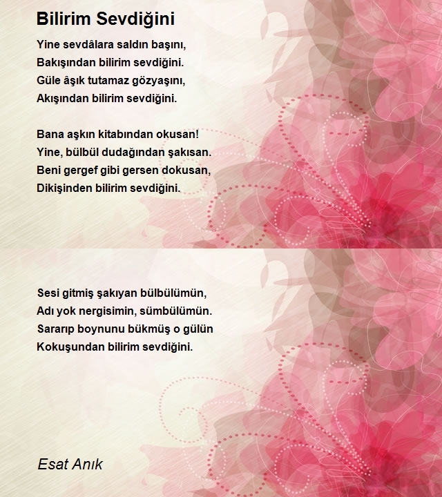 Esat Anık