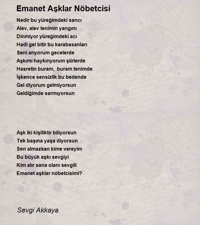 Sevgi Akkaya