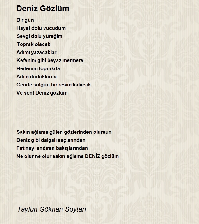 Tayfun Gökhan Soytan