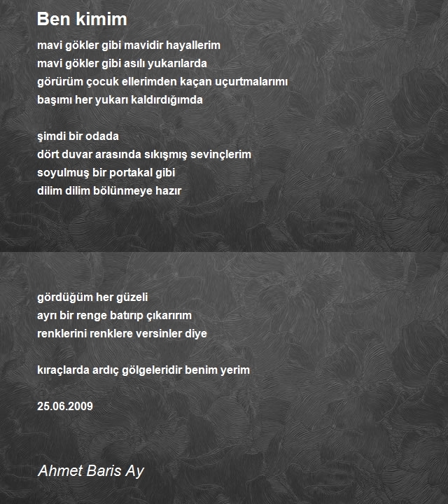 Ahmet Baris Ay