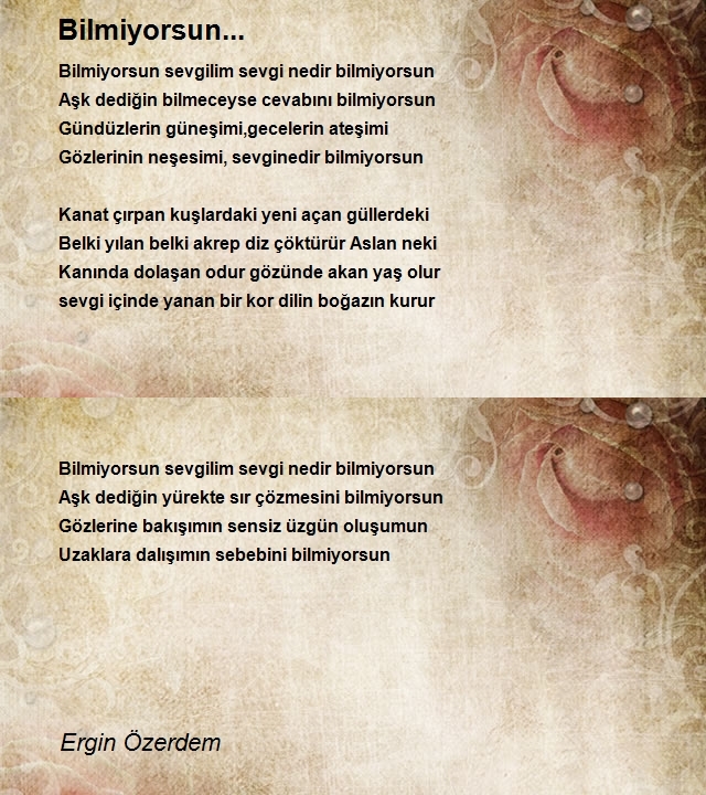 Ergin Özerdem