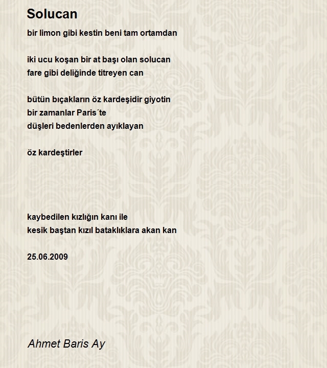 Ahmet Baris Ay