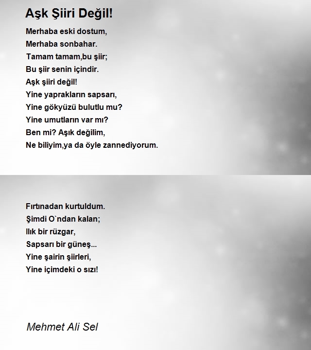 Mehmet Ali Sel