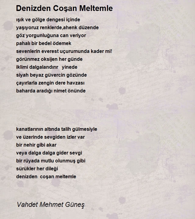 Vahdet Mehmet Güneş