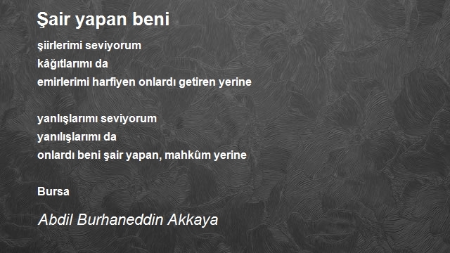 Abdil Burhaneddin Akkaya