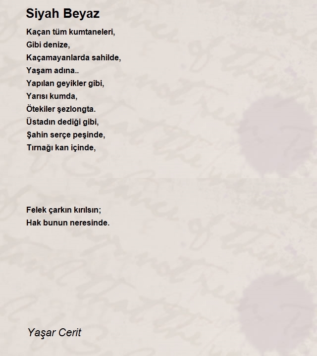 Yaşar Cerit