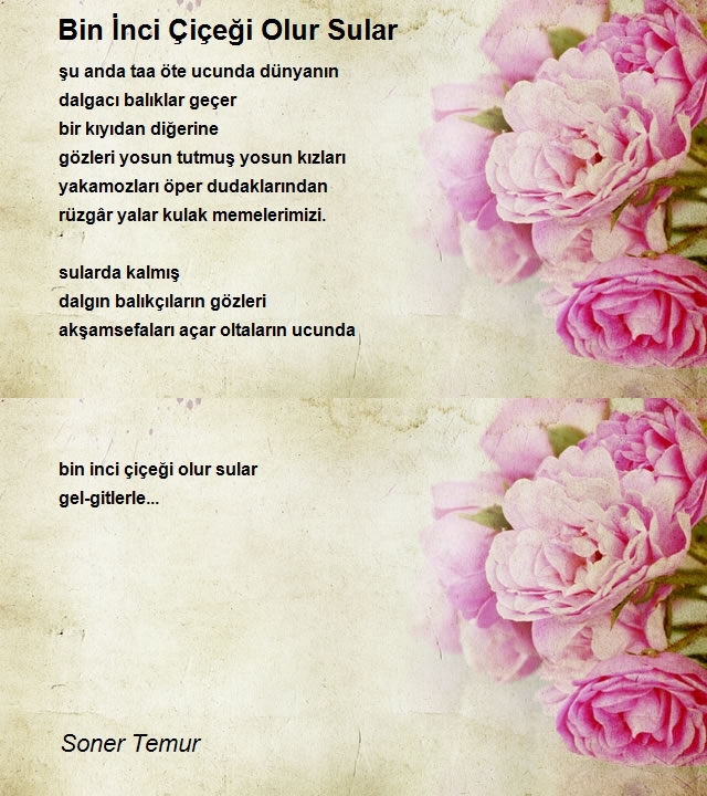 Soner Temur