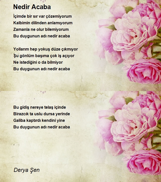 Derya Şen