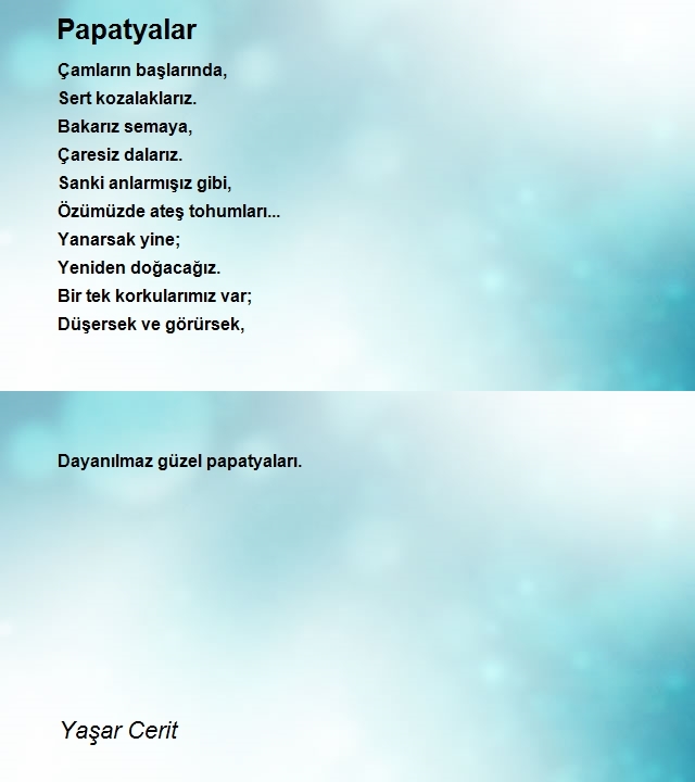 Yaşar Cerit