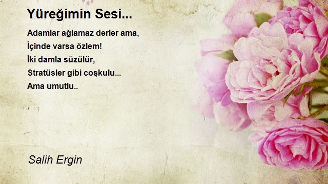 Salih Ergin