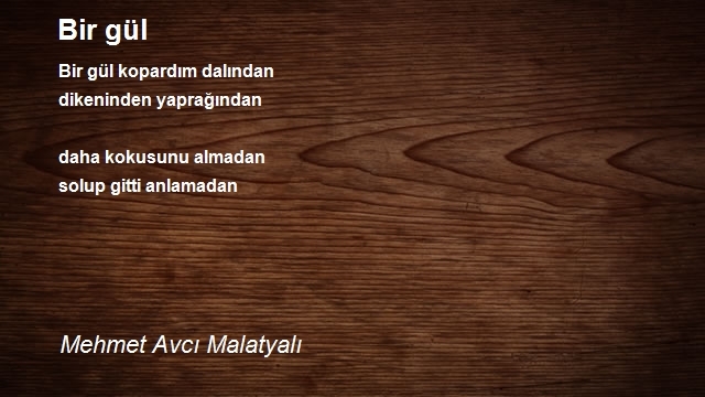 Mehmet Avcı Malatyalı