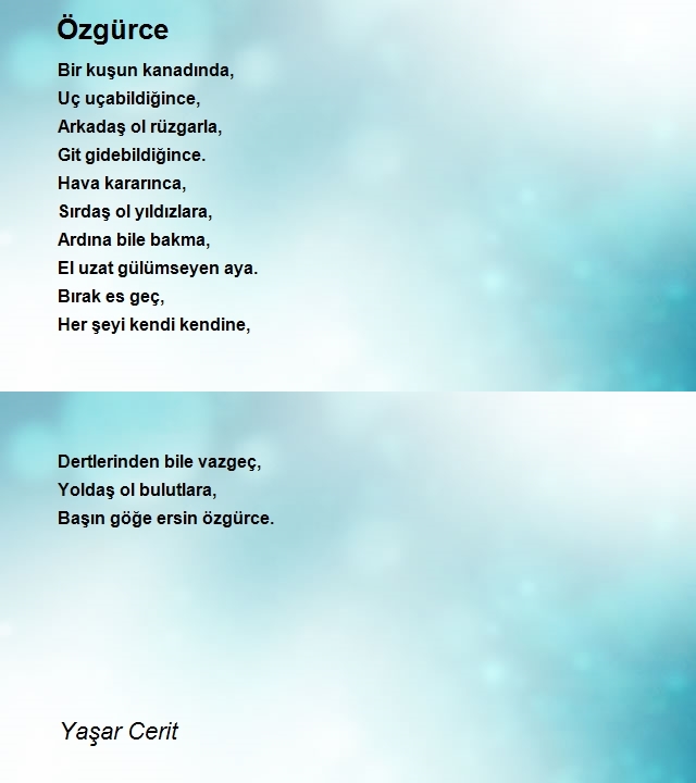 Yaşar Cerit