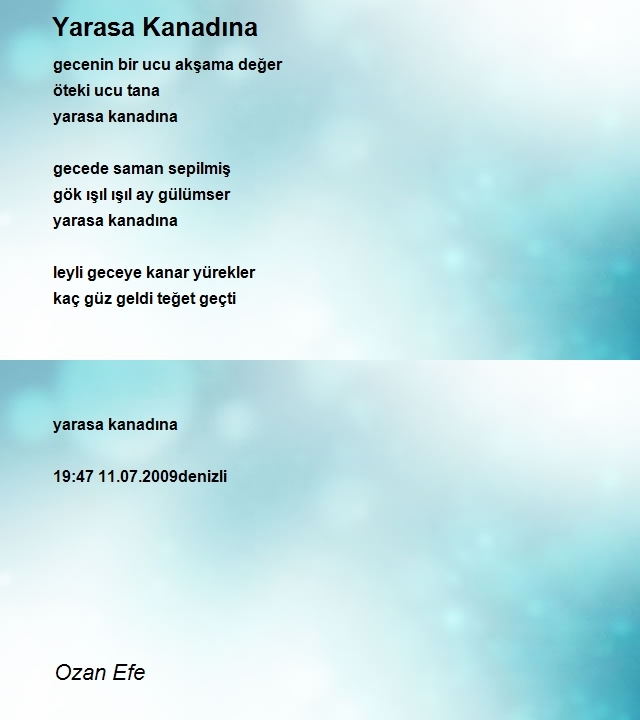 Ozan Efe