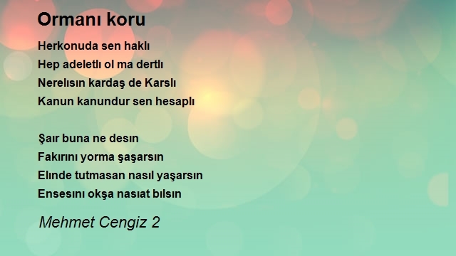 Mehmet Cengiz 2