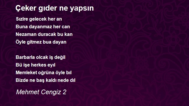 Mehmet Cengiz 2