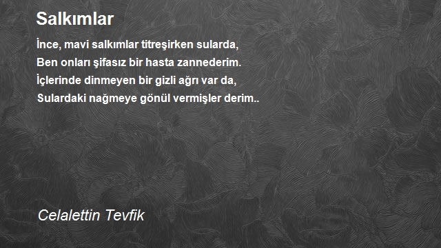 Celalettin Tevfik