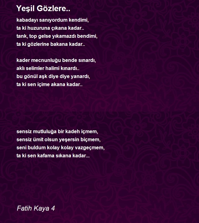 Fatih Kaya 4