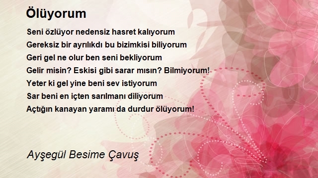 Ayşegül Besime Çavuş