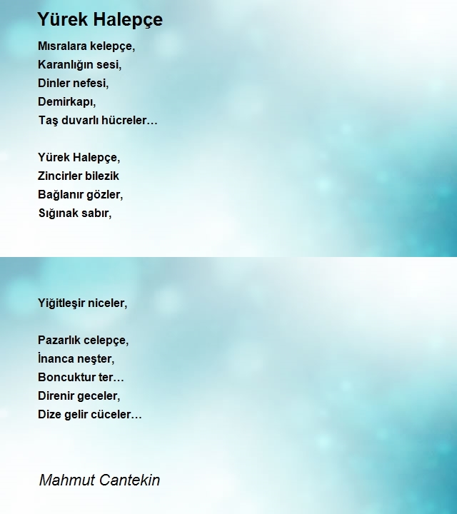 Mahmut Cantekin