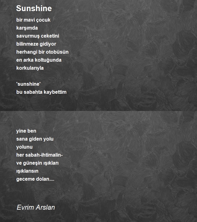 Evrim Arslan