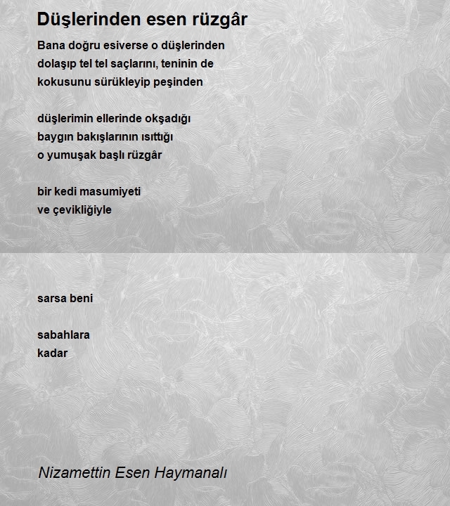 Nizamettin Esen Haymanalı