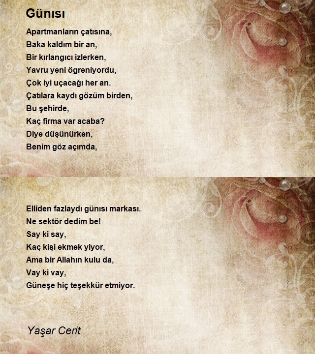 Yaşar Cerit