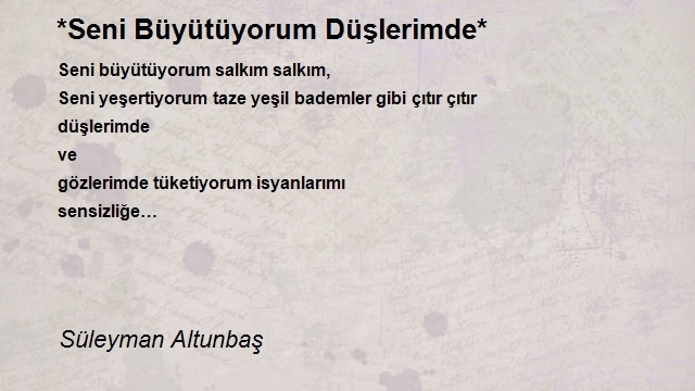 Süleyman Altunbaş 