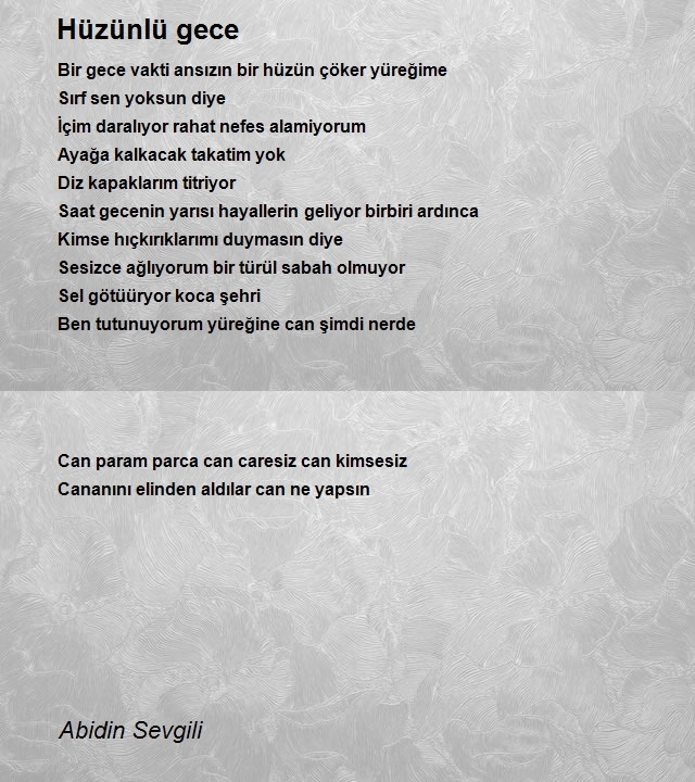 Abidin Sevgili