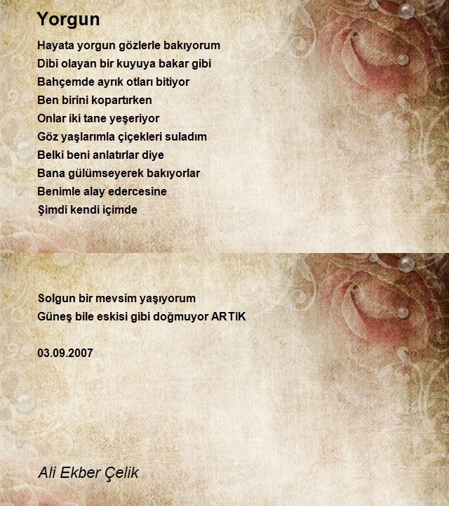 Ali Ekber Çelik