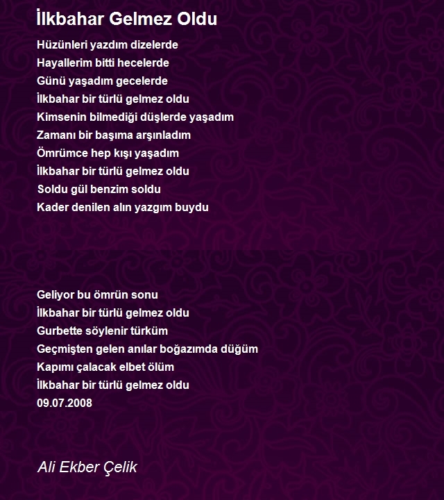 Ali Ekber Çelik